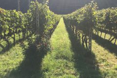 9e5e68a0-81f1-4fbf-89a6-583f37ecfa85