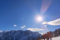 4e551d50-f538-47ae-a79f-27cd64a6f59c