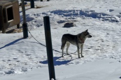 7afeaa20-6e2f-4002-83ca-f6dab9755347