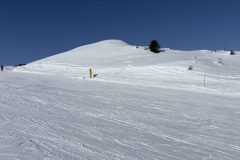 IMG_4210-scaled