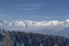 IMG_4249-scaled