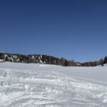 Bilder